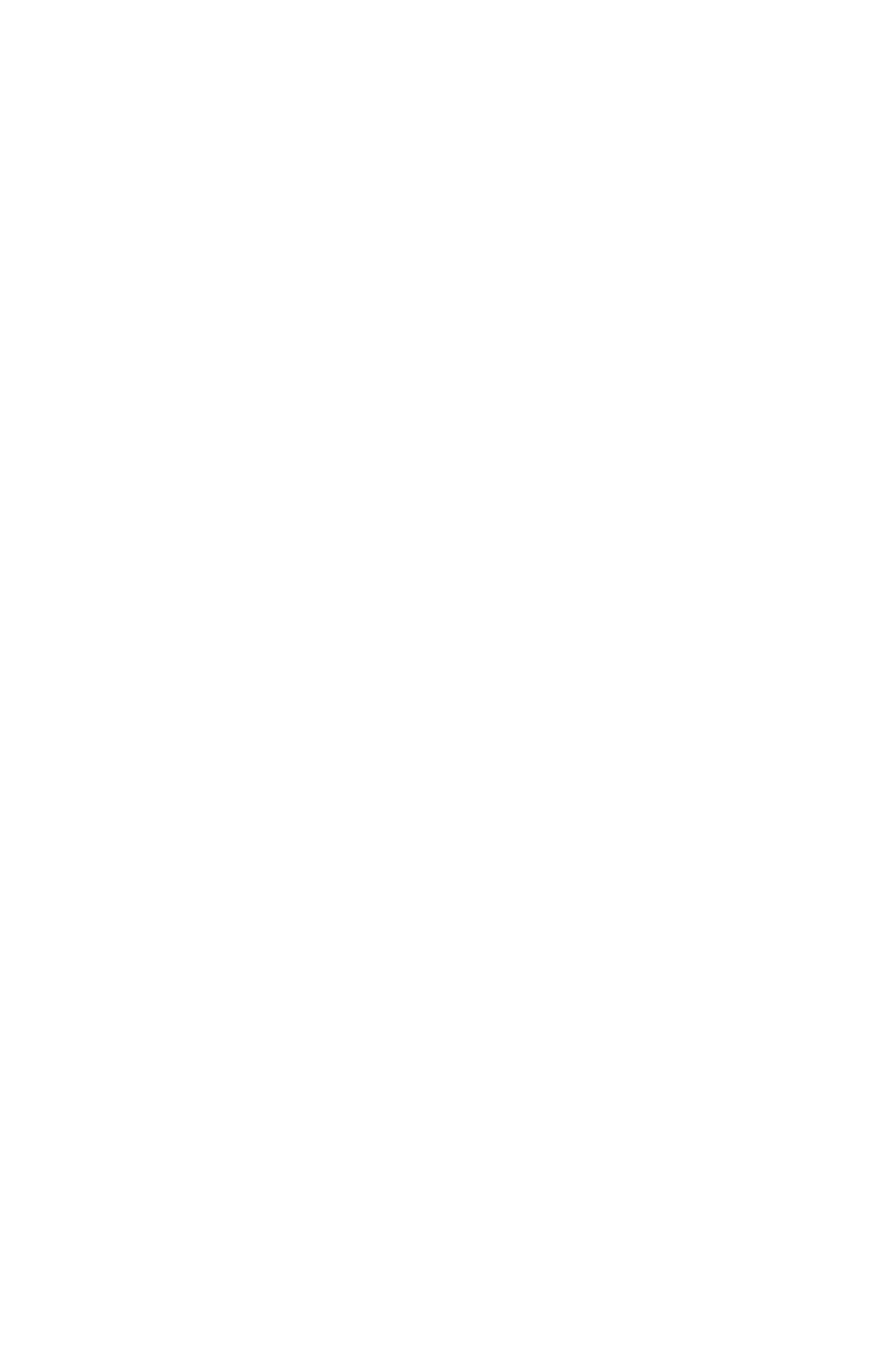 Greenville Triumph SC